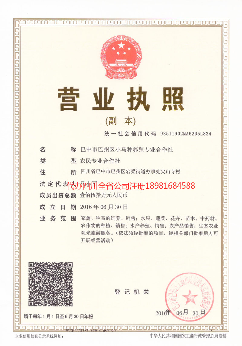 高州高州小马种养殖专业合作社